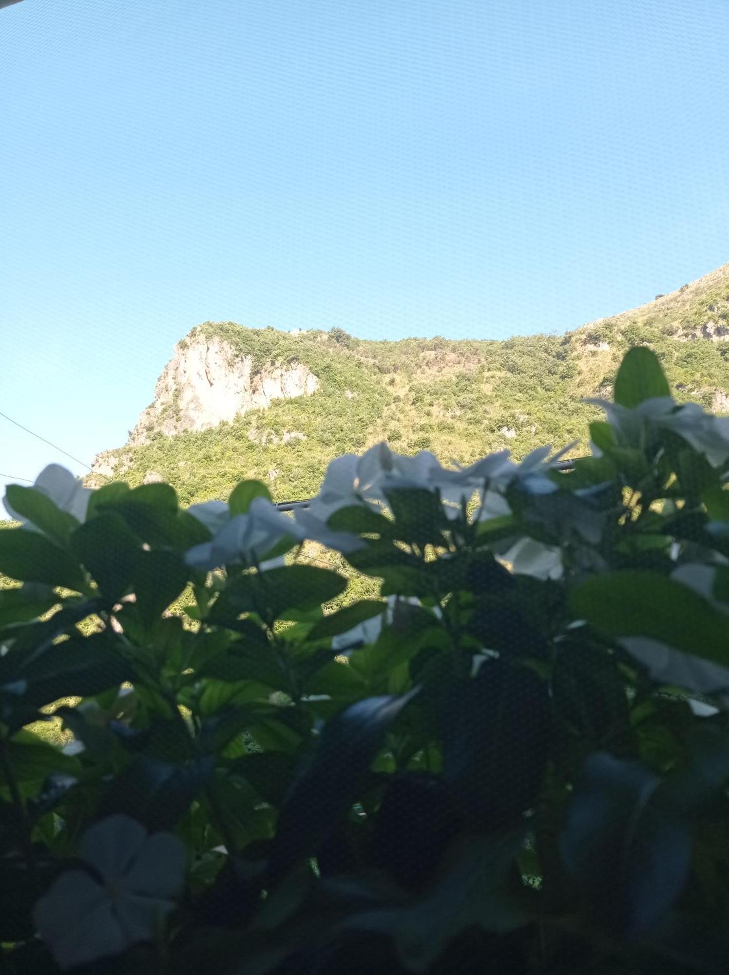 B&B San Nilo Orsomarso エクステリア 写真